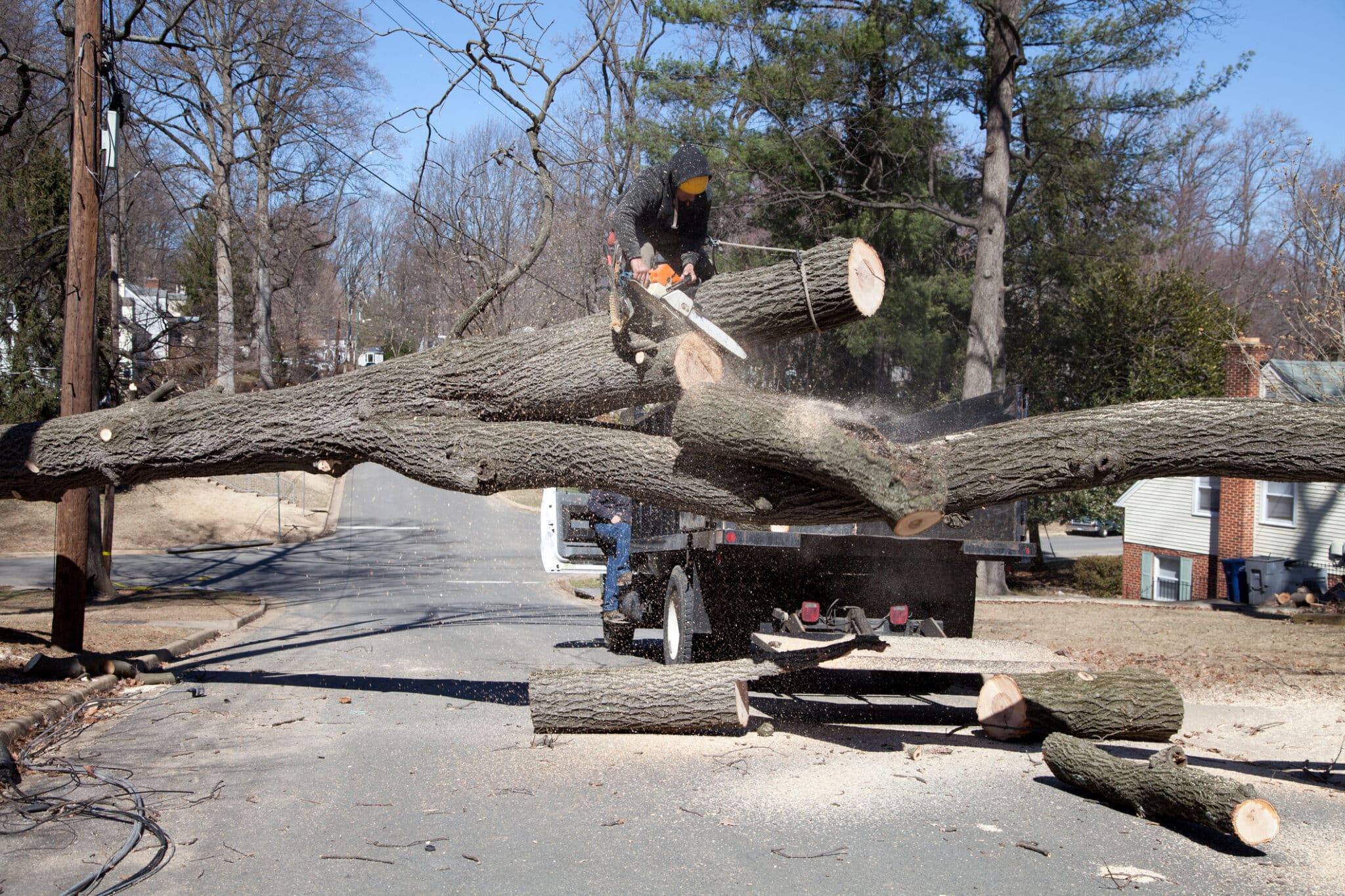 emergency tree removal