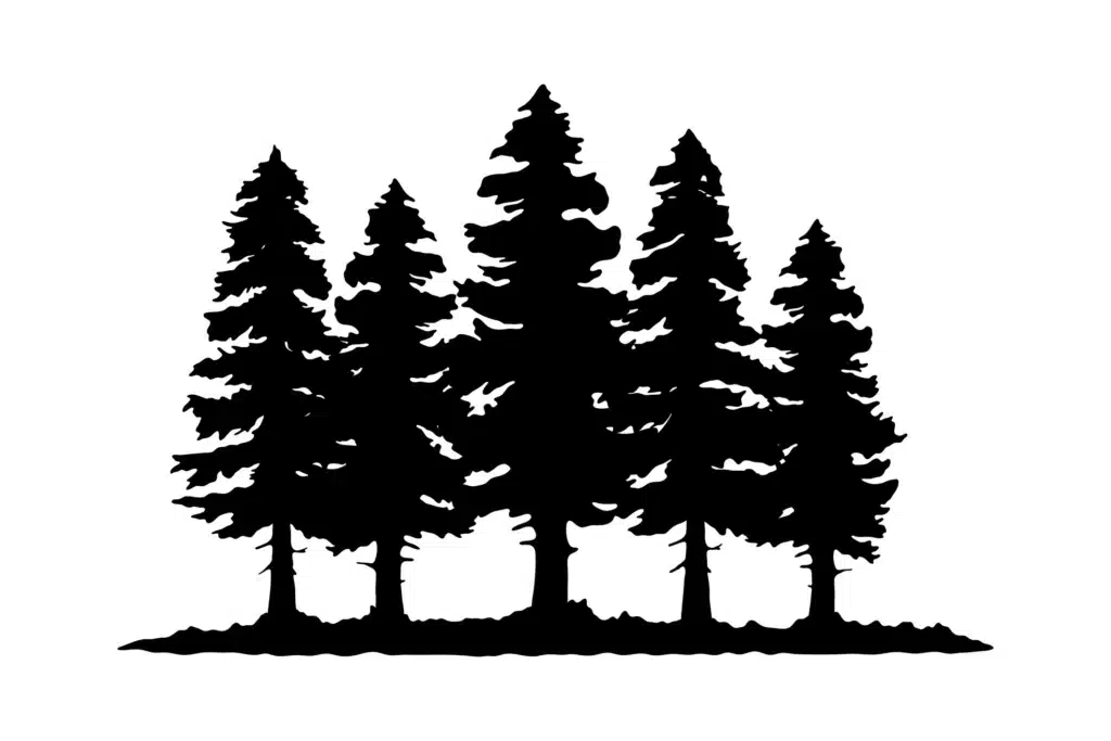 tree clearing services