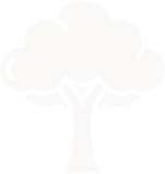 tree removal