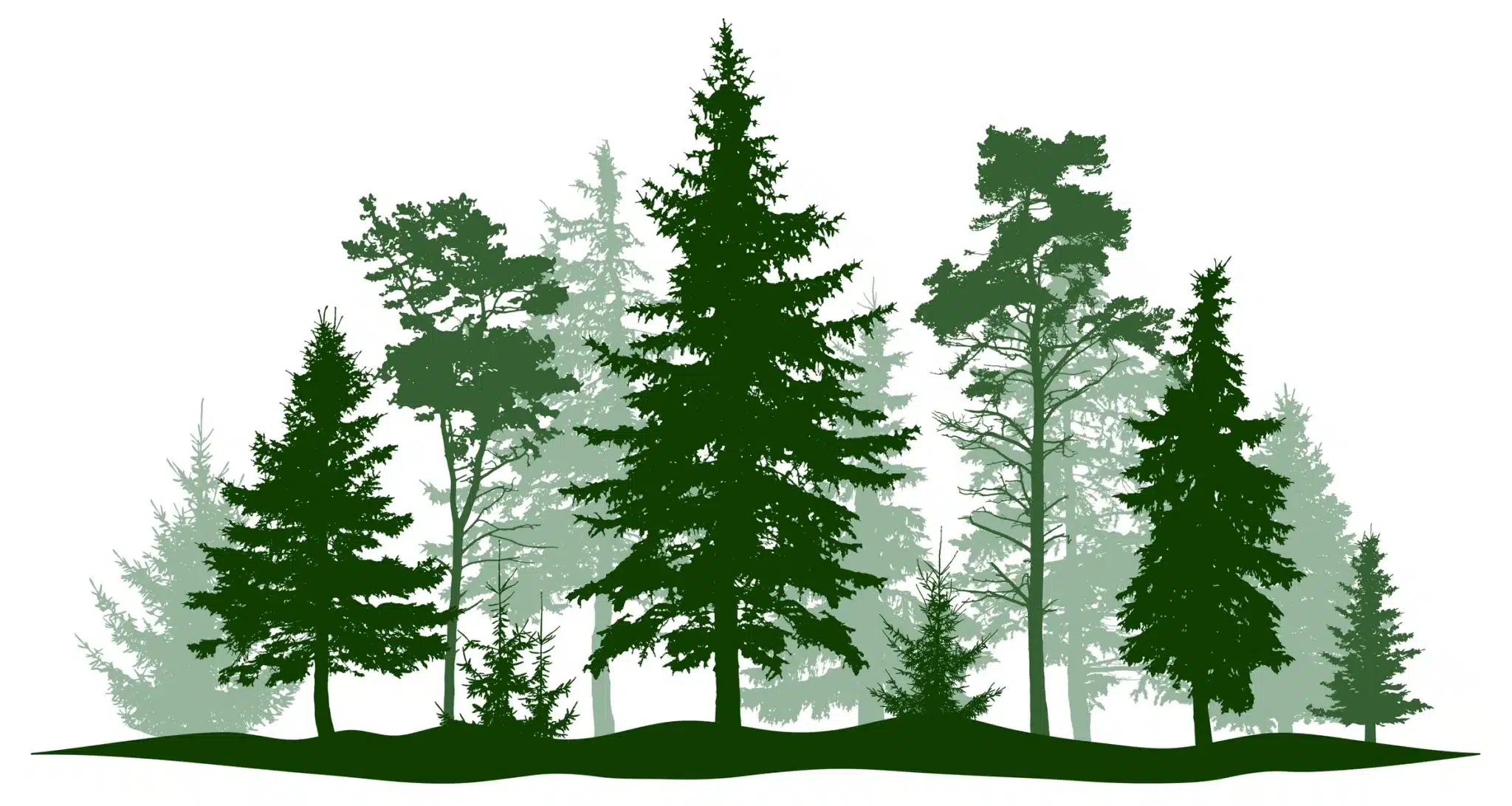 tree services near me