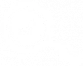 magnifying-glass-icon magnifying-glass-icon